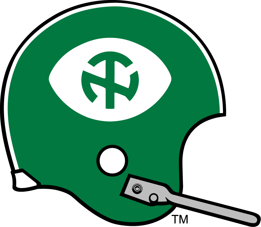 North Texas Mean Green 1968-1971 Helmet diy DTF decal sticker